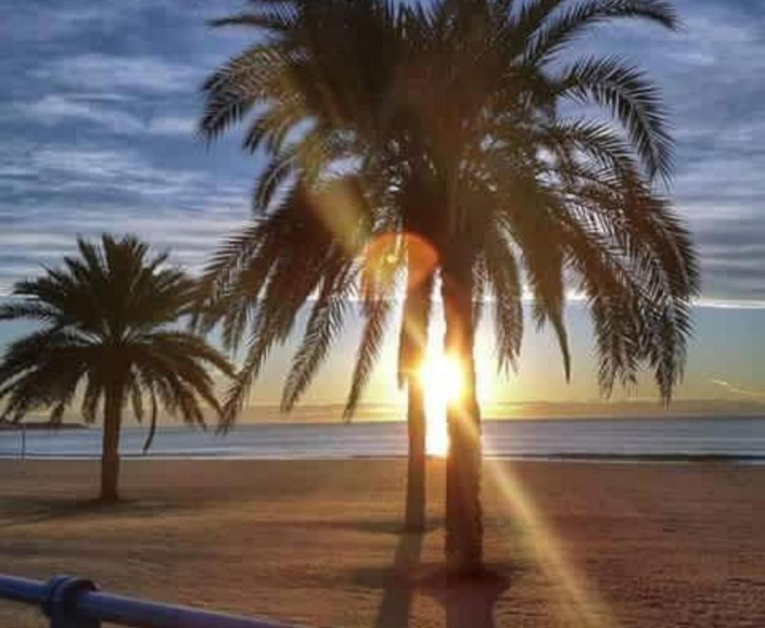 My House Alicante Esterno foto